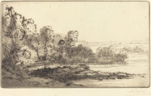 Entlang der Terne