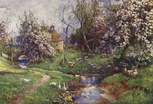 Ein Cotswold-Obstgarten