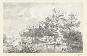 Landschaft mit watenden Kühen