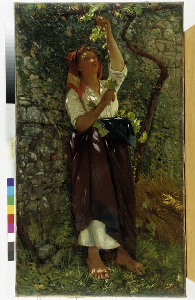 Der Rebschnitt von Giovanni Costa
