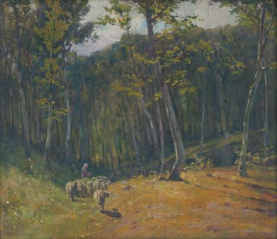 Schafe im Wald von Ludovit Cordak